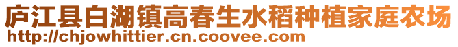 廬江縣白湖鎮(zhèn)高春生水稻種植家庭農(nóng)場(chǎng)