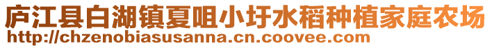 廬江縣白湖鎮(zhèn)夏咀小圩水稻種植家庭農(nóng)場(chǎng)