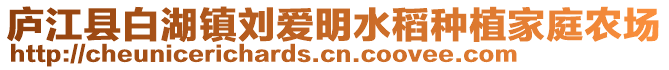 廬江縣白湖鎮劉愛明水稻種植家庭農場