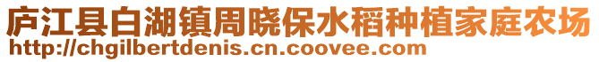 廬江縣白湖鎮(zhèn)周曉保水稻種植家庭農(nóng)場(chǎng)