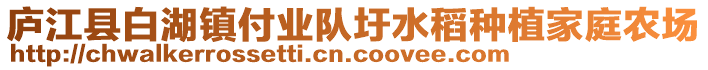 廬江縣白湖鎮(zhèn)付業(yè)隊(duì)圩水稻種植家庭農(nóng)場