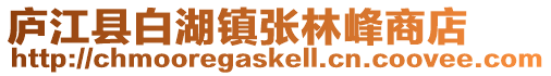 廬江縣白湖鎮張林峰商店
