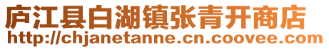 廬江縣白湖鎮張青開商店