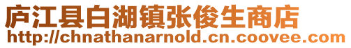 廬江縣白湖鎮張俊生商店
