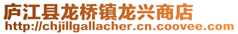 廬江縣龍橋鎮龍興商店