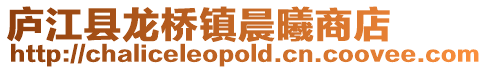 廬江縣龍橋鎮晨曦商店