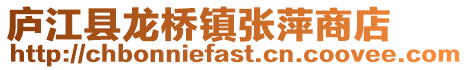 廬江縣龍橋鎮張萍商店