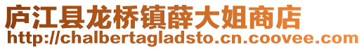 廬江縣龍橋鎮薛大姐商店
