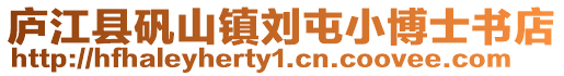 廬江縣礬山鎮劉屯小博士書店