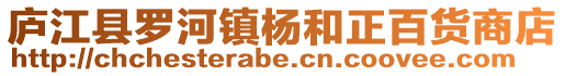 廬江縣羅河鎮楊和正百貨商店