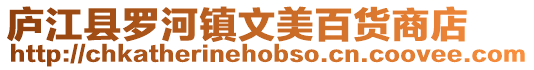 廬江縣羅河鎮(zhèn)文美百貨商店
