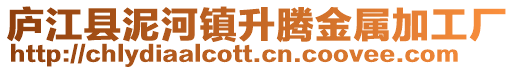 廬江縣泥河鎮(zhèn)升騰金屬加工廠