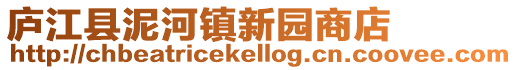 廬江縣泥河鎮(zhèn)新園商店