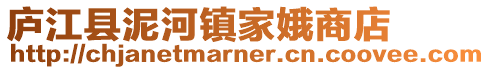 廬江縣泥河鎮家娥商店