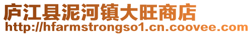 廬江縣泥河鎮大旺商店