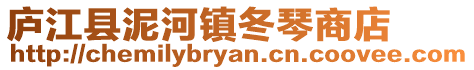 廬江縣泥河鎮冬琴商店