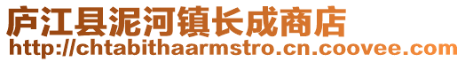 廬江縣泥河鎮(zhèn)長(zhǎng)成商店