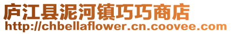 廬江縣泥河鎮巧巧商店