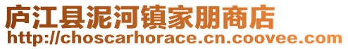 廬江縣泥河鎮(zhèn)家朋商店