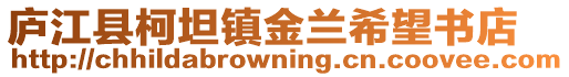 廬江縣柯坦鎮(zhèn)金蘭希望書店