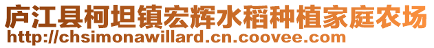 廬江縣柯坦鎮(zhèn)宏輝水稻種植家庭農(nóng)場