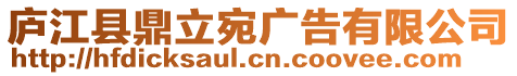 廬江縣鼎立宛廣告有限公司