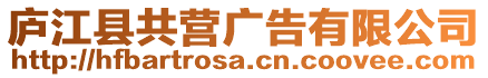 廬江縣共營廣告有限公司