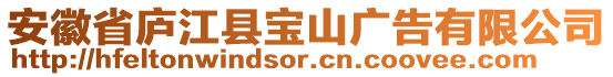 安徽省廬江縣寶山廣告有限公司