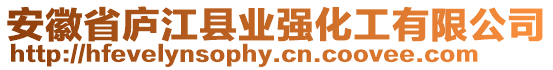 安徽省廬江縣業(yè)強化工有限公司