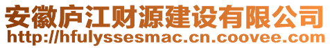 安徽廬江財源建設(shè)有限公司