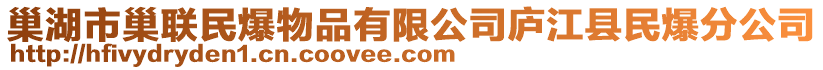 巢湖市巢聯(lián)民爆物品有限公司廬江縣民爆分公司