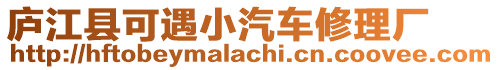 廬江縣可遇小汽車修理廠