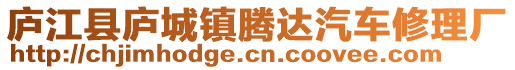 廬江縣廬城鎮(zhèn)騰達(dá)汽車修理廠