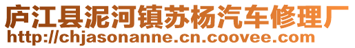 廬江縣泥河鎮(zhèn)蘇楊汽車修理廠