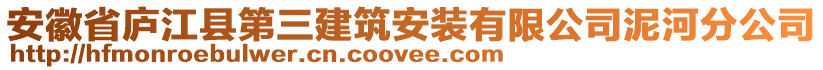 安徽省廬江縣第三建筑安裝有限公司泥河分公司