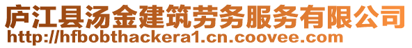 廬江縣湯金建筑勞務服務有限公司