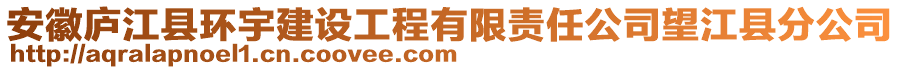 安徽廬江縣環(huán)宇建設(shè)工程有限責(zé)任公司望江縣分公司