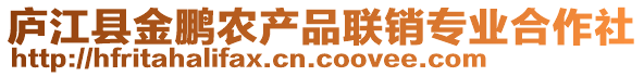 廬江縣金鵬農(nóng)產(chǎn)品聯(lián)銷專業(yè)合作社