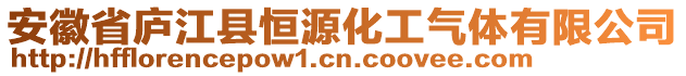 安徽省廬江縣恒源化工氣體有限公司