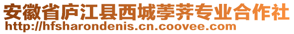 安徽省廬江縣西城荸薺專業(yè)合作社