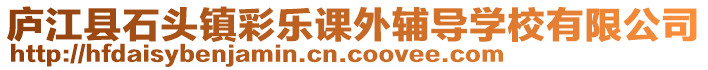 廬江縣石頭鎮(zhèn)彩樂課外輔導(dǎo)學(xué)校有限公司