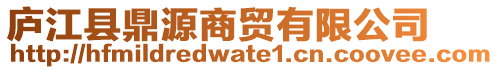 廬江縣鼎源商貿(mào)有限公司