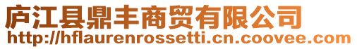廬江縣鼎豐商貿有限公司