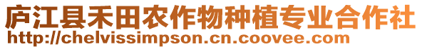 廬江縣禾田農(nóng)作物種植專業(yè)合作社