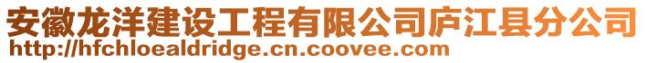 安徽龍洋建設工程有限公司廬江縣分公司