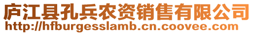 廬江縣孔兵農資銷售有限公司