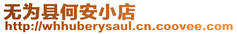 無為縣何安小店