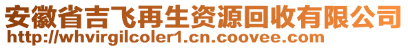 安徽省吉飛再生資源回收有限公司