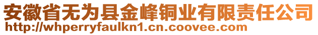 安徽省無為縣金峰銅業(yè)有限責任公司