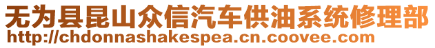 無為縣昆山眾信汽車供油系統(tǒng)修理部